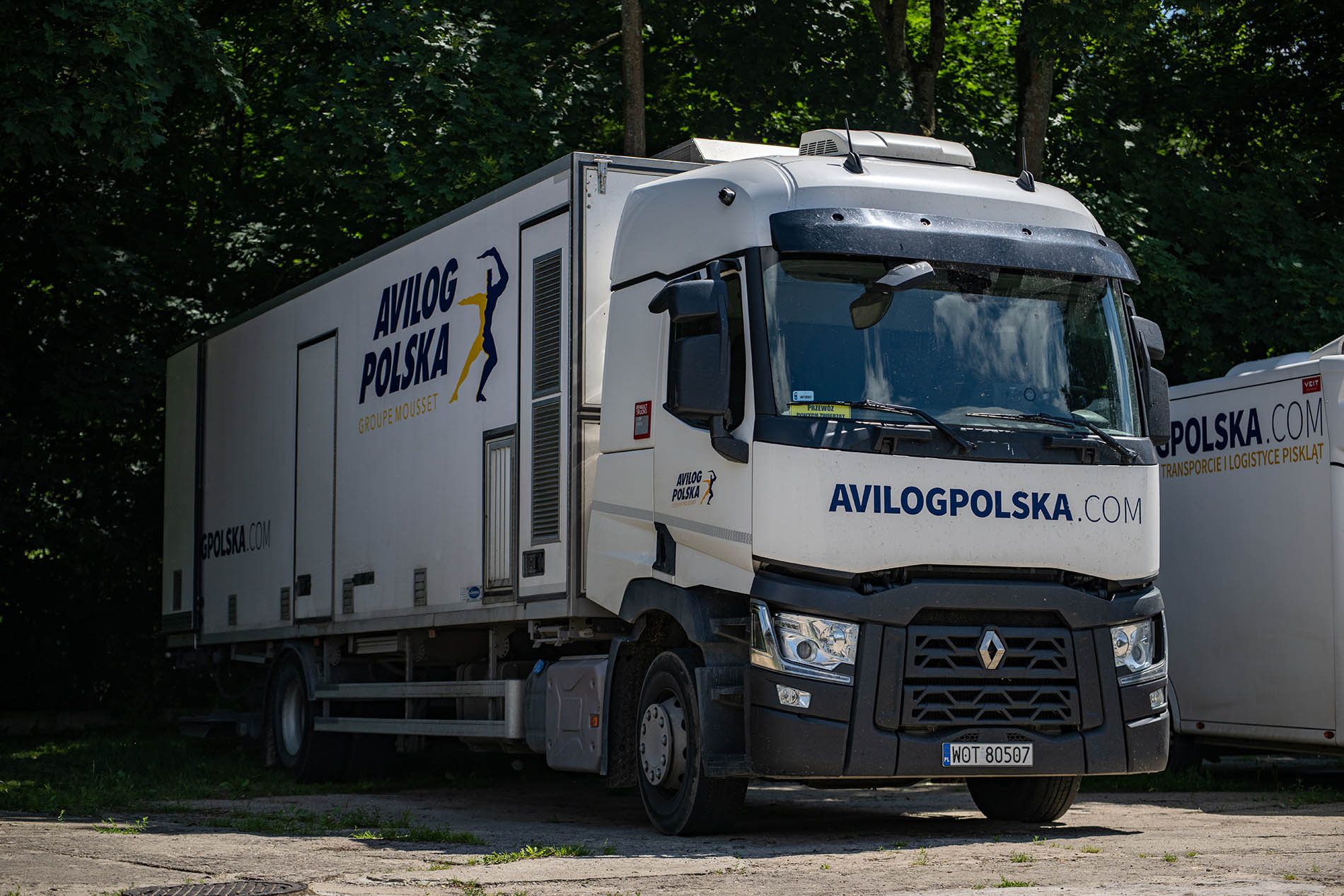 Camion de transport de poussins AVILOG POLSKA