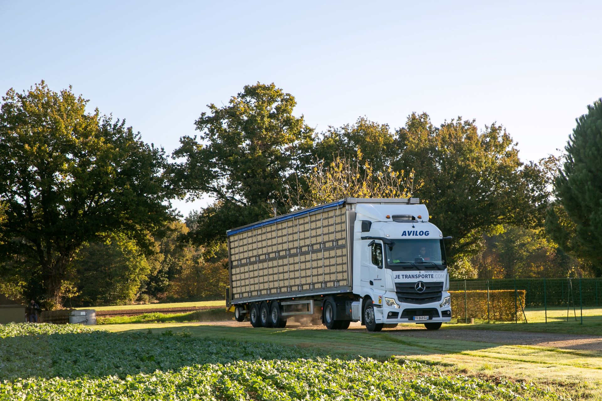 Camion de volailles arrivant sur une exploitation