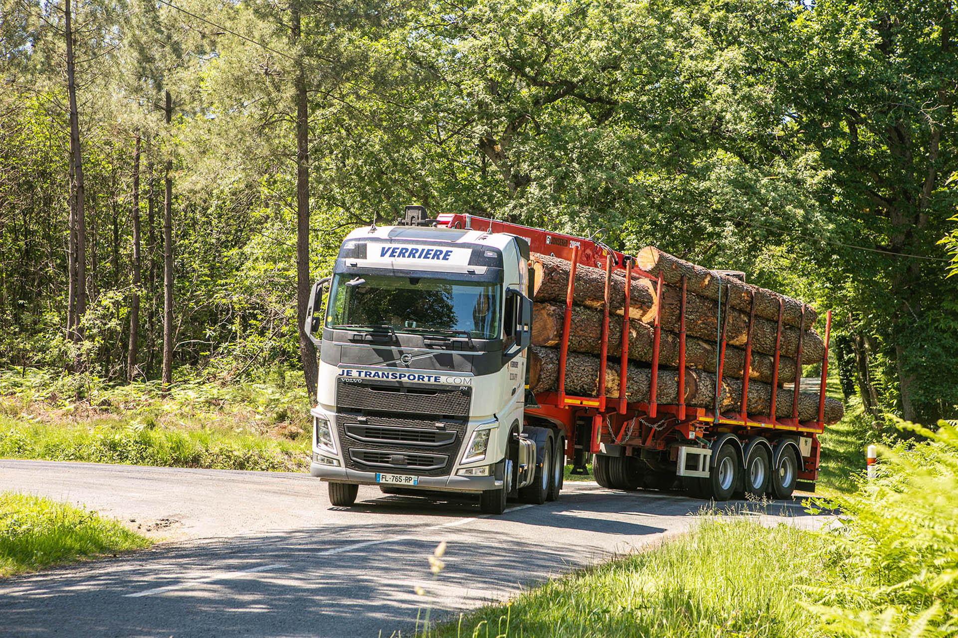 Livraison de bois et grume en forêt