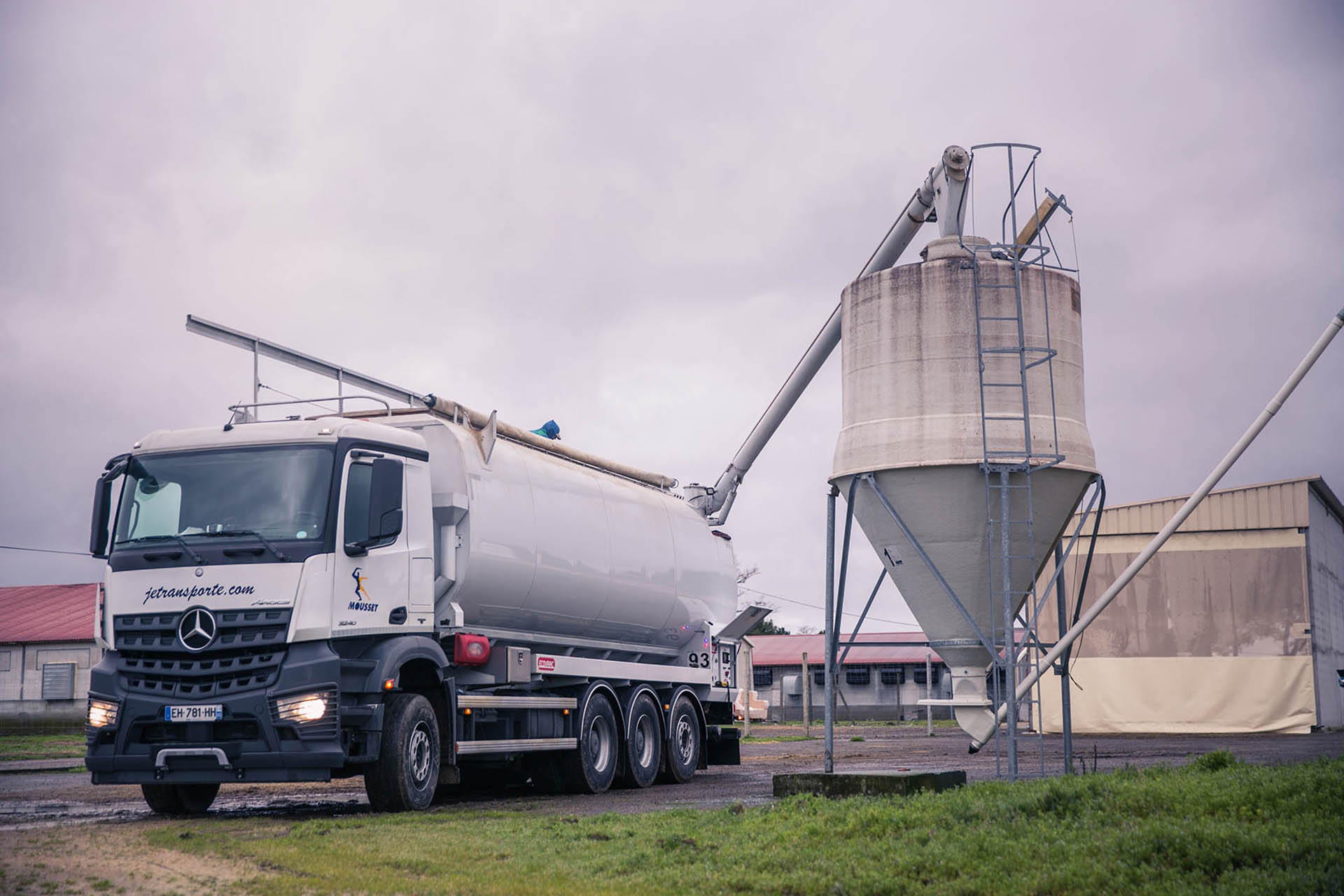 Camion qui décharge les aliments pour animaux d'élevage en vrac