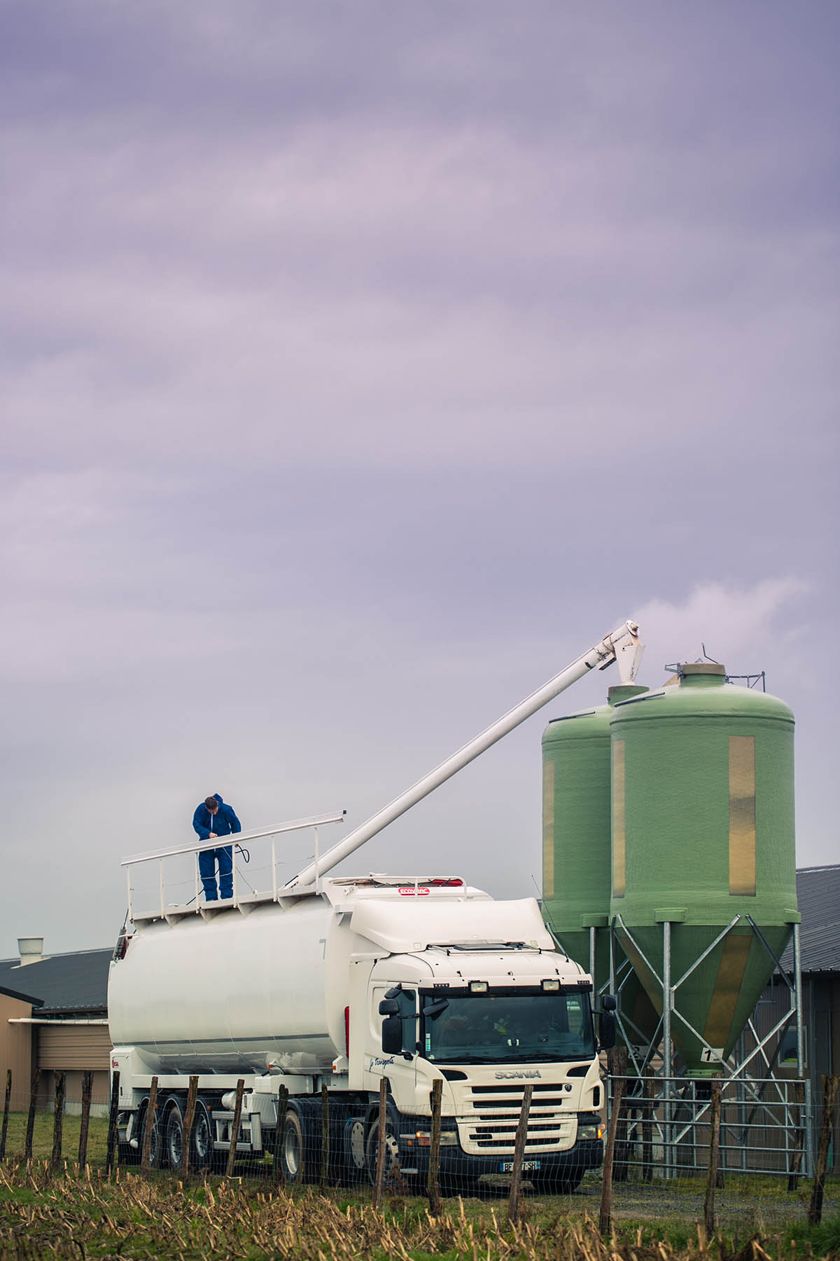 Camion benne qui décharge des céréales dans un silot