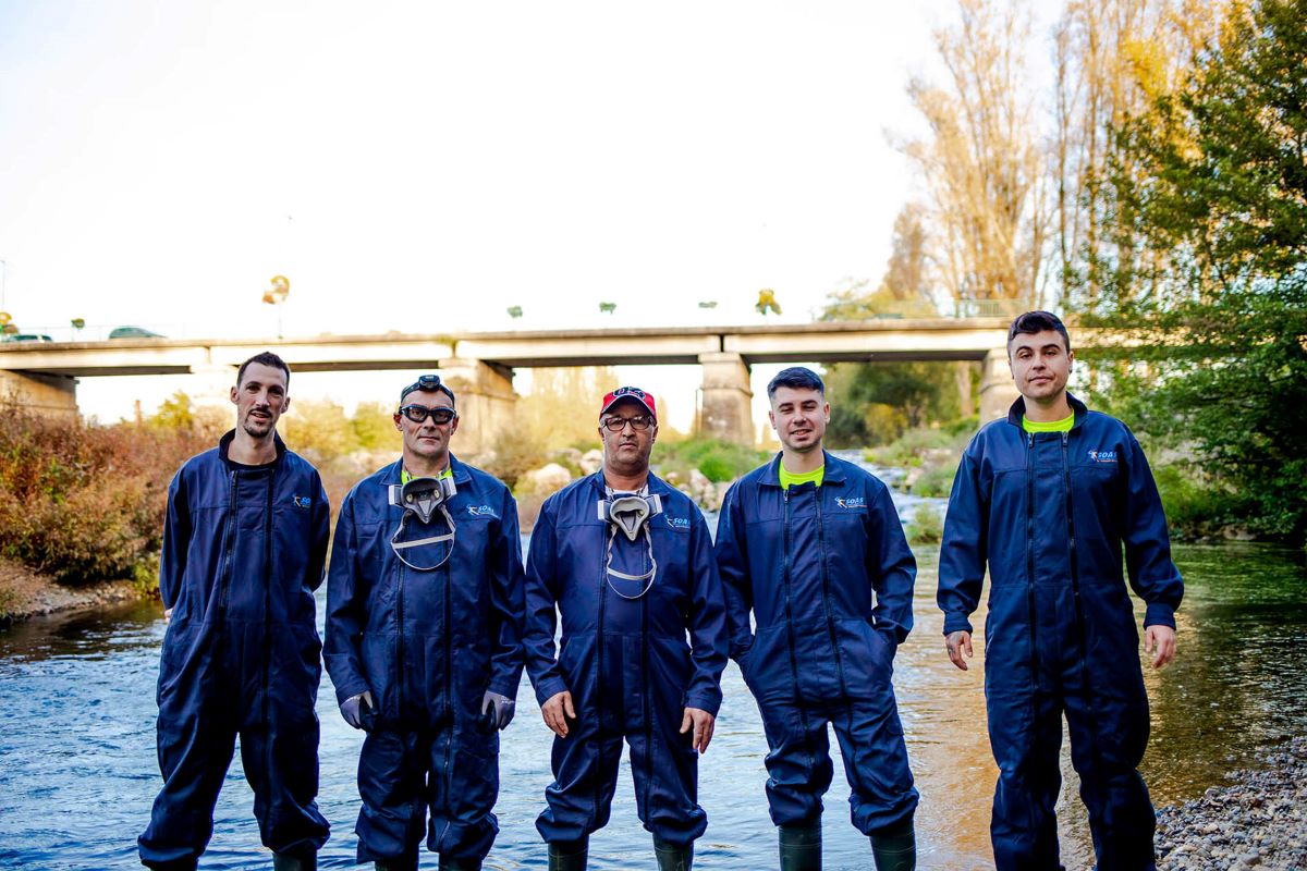 Equipe de ramasseurs de volailles