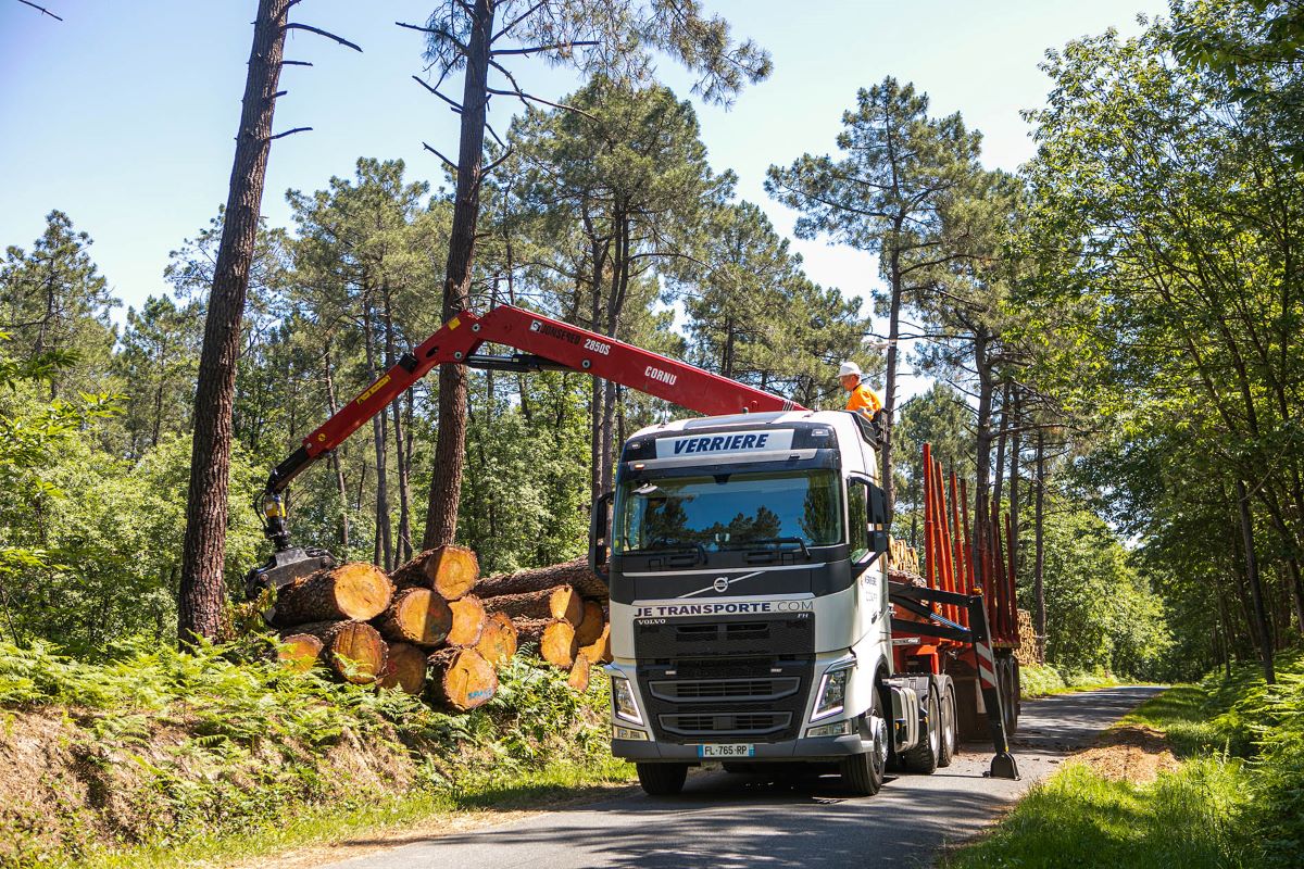 Grumière qui transporte du bois