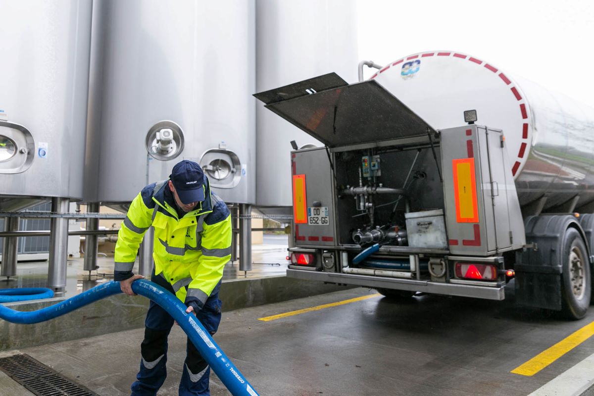 Conducteur de lait qui dépote le lait