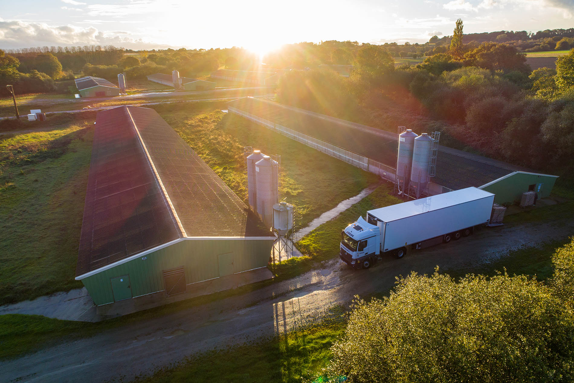 Camion de transport d'oeufs à couver en chargement