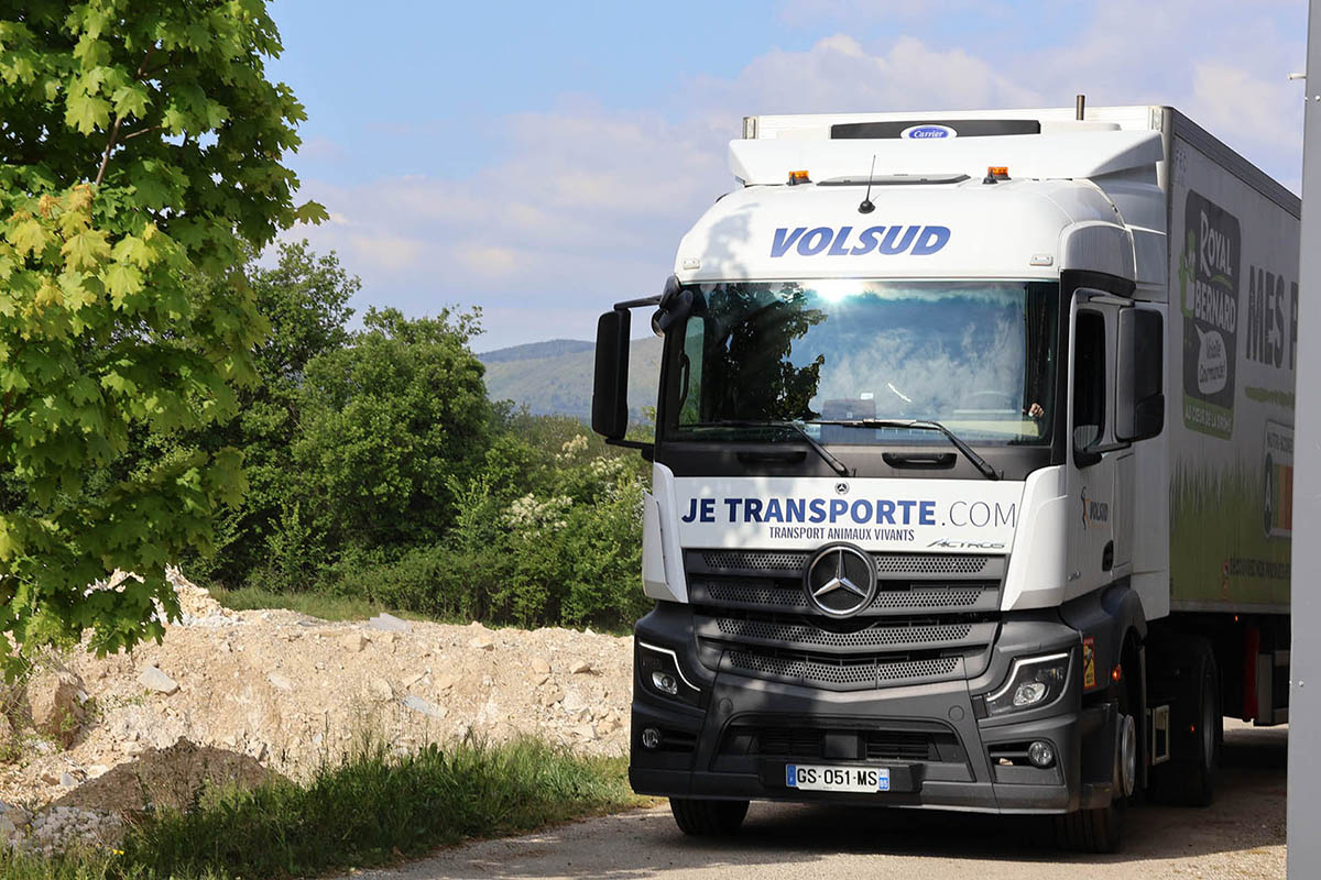 Camion de volailles VOLSUD