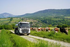 régularité collecte de lait